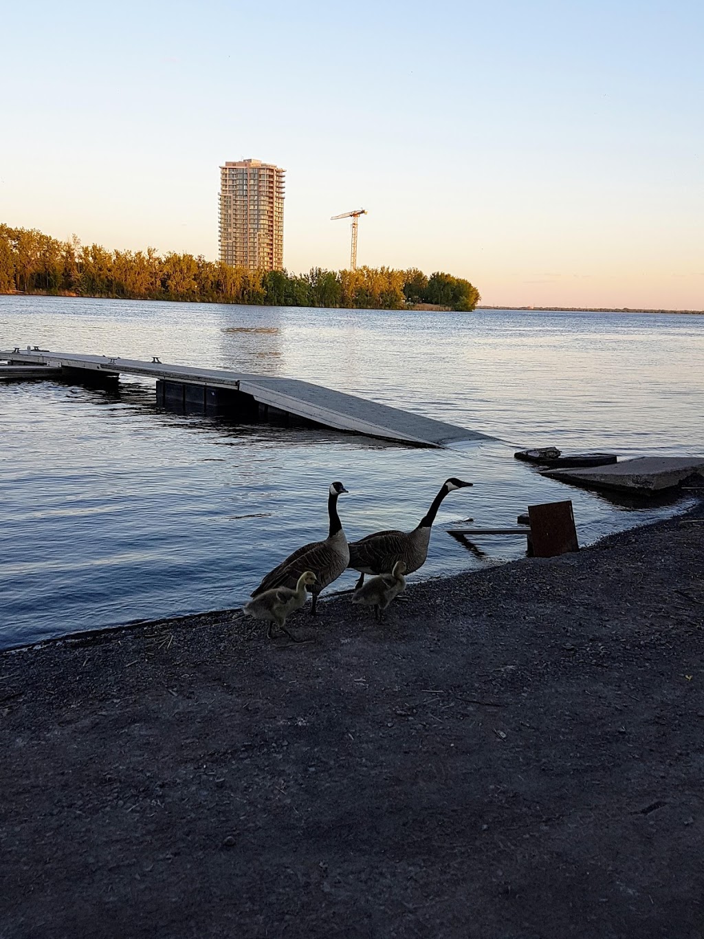 Parc Desmarchais | 5200 Boulevard LaSalle, Verdun, QC H4H 1N8, Canada