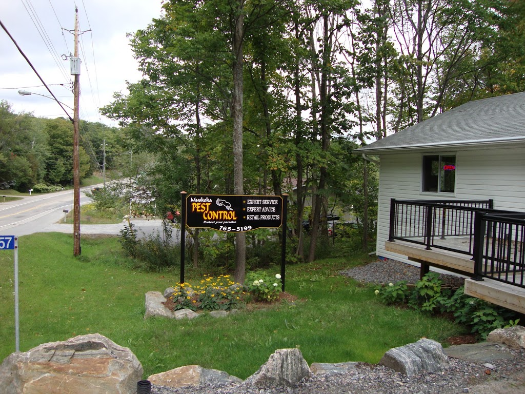 Muskoka Wildlife Control | 157 Medora St, Port Carling, ON P0B 1J0, Canada | Phone: (705) 765-5199