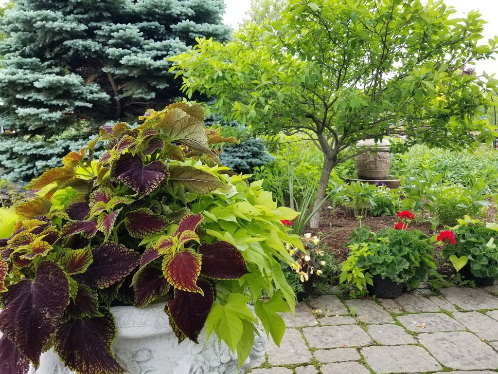 Farmgate Gardens | 525 Frankford Rd, Foxboro, ON K0K 2B0, Canada | Phone: (613) 967-1581