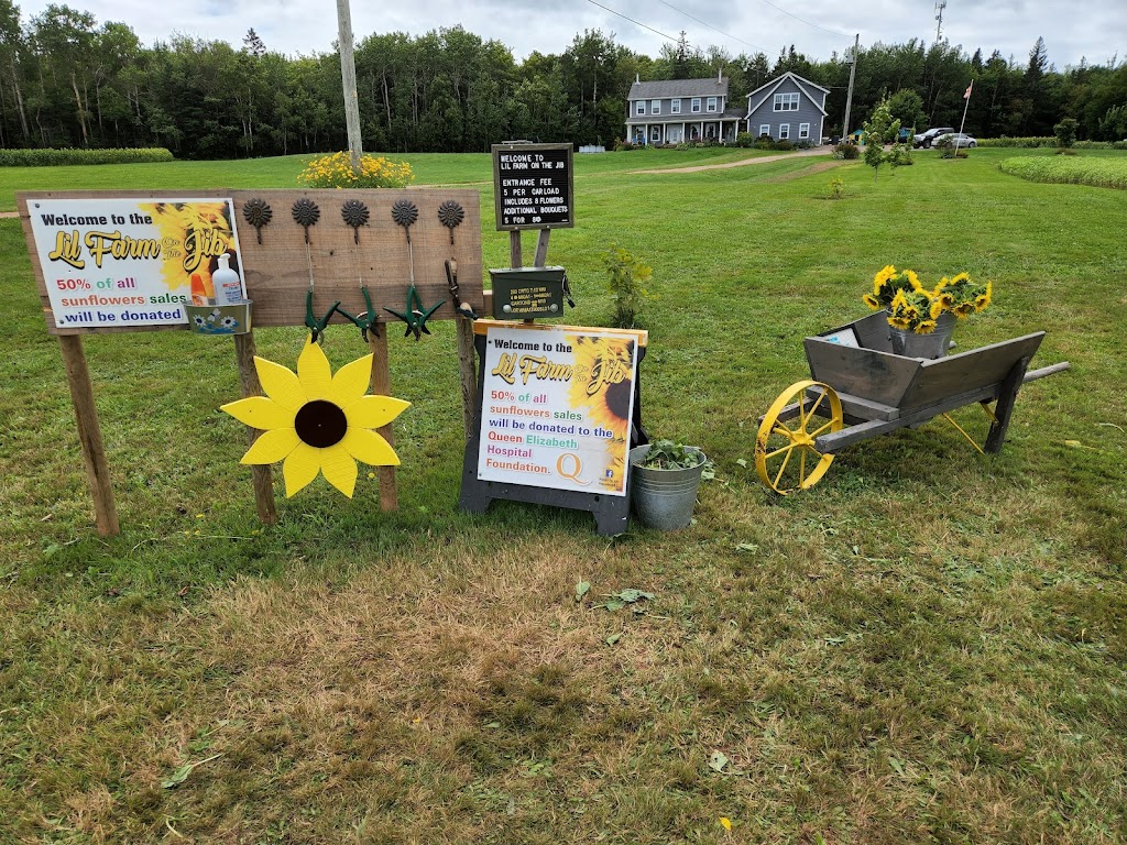 Lil Farm on the Jib | 84 MacLennan Rd, Hazelbrook, PE C1B 0N5, Canada | Phone: (902) 569-1133
