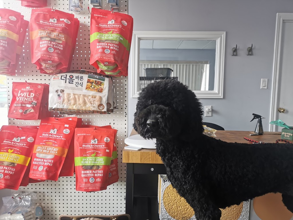 Neko Neko Pet | 69 Howden Rd, Scarborough, ON M1R 3C7, Canada | Phone: (647) 619-9132