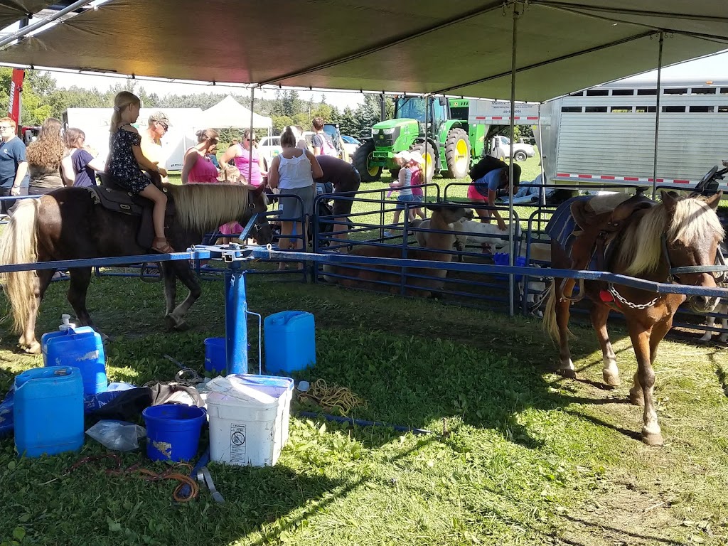 Port Hope Agricultural Park | 62 McCaul St, Port Hope, ON L1A 1L2, Canada | Phone: (905) 885-7908