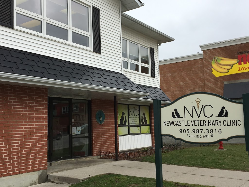 Newcastle Veterinary Clinic | 108 King Ave W, Newcastle, ON L1B 1H7, Canada | Phone: (905) 987-3816