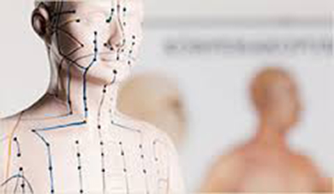 Geneviève Goudreault Acupuncteure | 180 QC-170, LAnse-Saint-Jean, QC G0V 1J0, Canada | Phone: (418) 272-2722