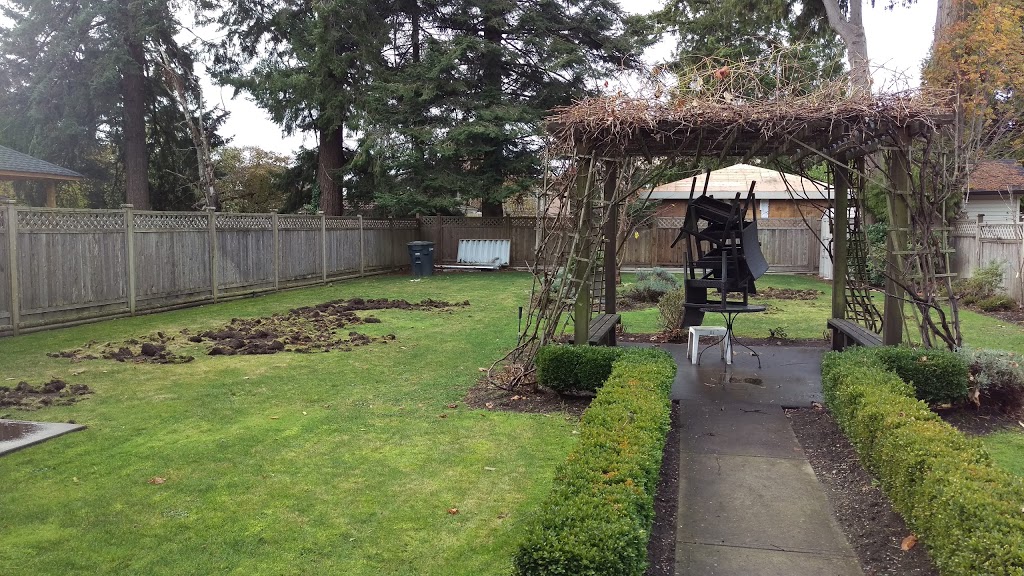 Imperial House Bed and Breakfast | 6895 Waverley Ave, Burnaby, BC V5J 4A4, Canada | Phone: (778) 952-2211