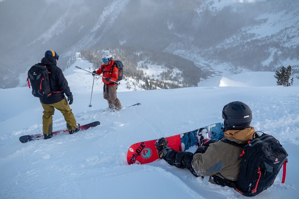 No Limits Heli Adventure | 9910 Heliport Rd, Whistler, BC V8E 0G5, Canada | Phone: (778) 820-8888