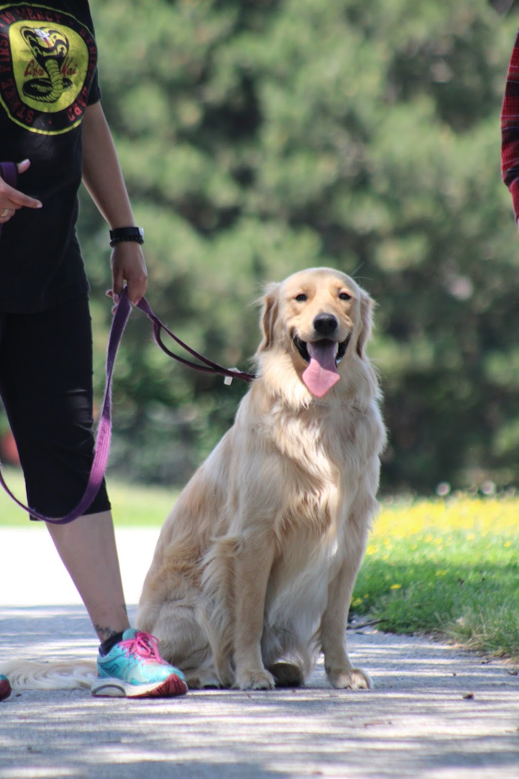 Barbosa k9s | 22 Bunting Dr, Brampton, ON L6Y 2H5, Canada | Phone: (647) 248-2411