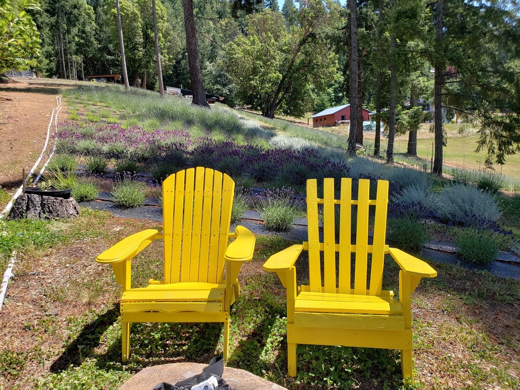 Lavender and Black Aromatic Fields | 256 Pringle Farm Rd, Salt Spring Island, BC V8K 2Y2, Canada | Phone: (778) 875-1877