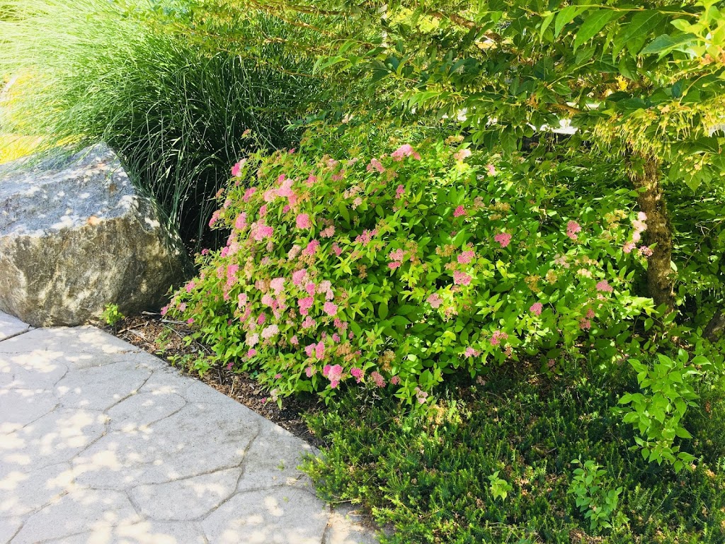 Marguerite Park | 1480 Marguerite St, Coquitlam, BC V3E 0A7, Canada | Phone: (604) 927-3000