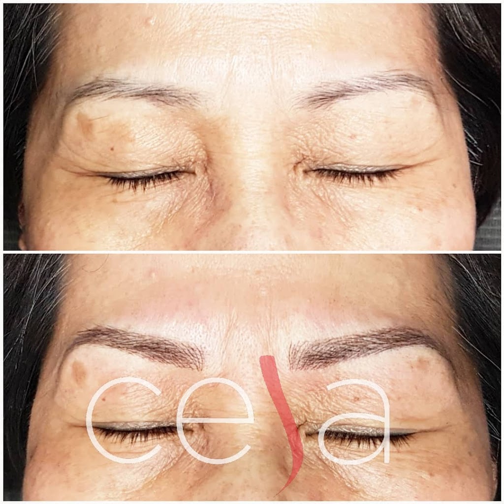 ceja | 1081 St Clair Ave W, Toronto, ON M6E 1A8, Canada | Phone: (416) 454-7458