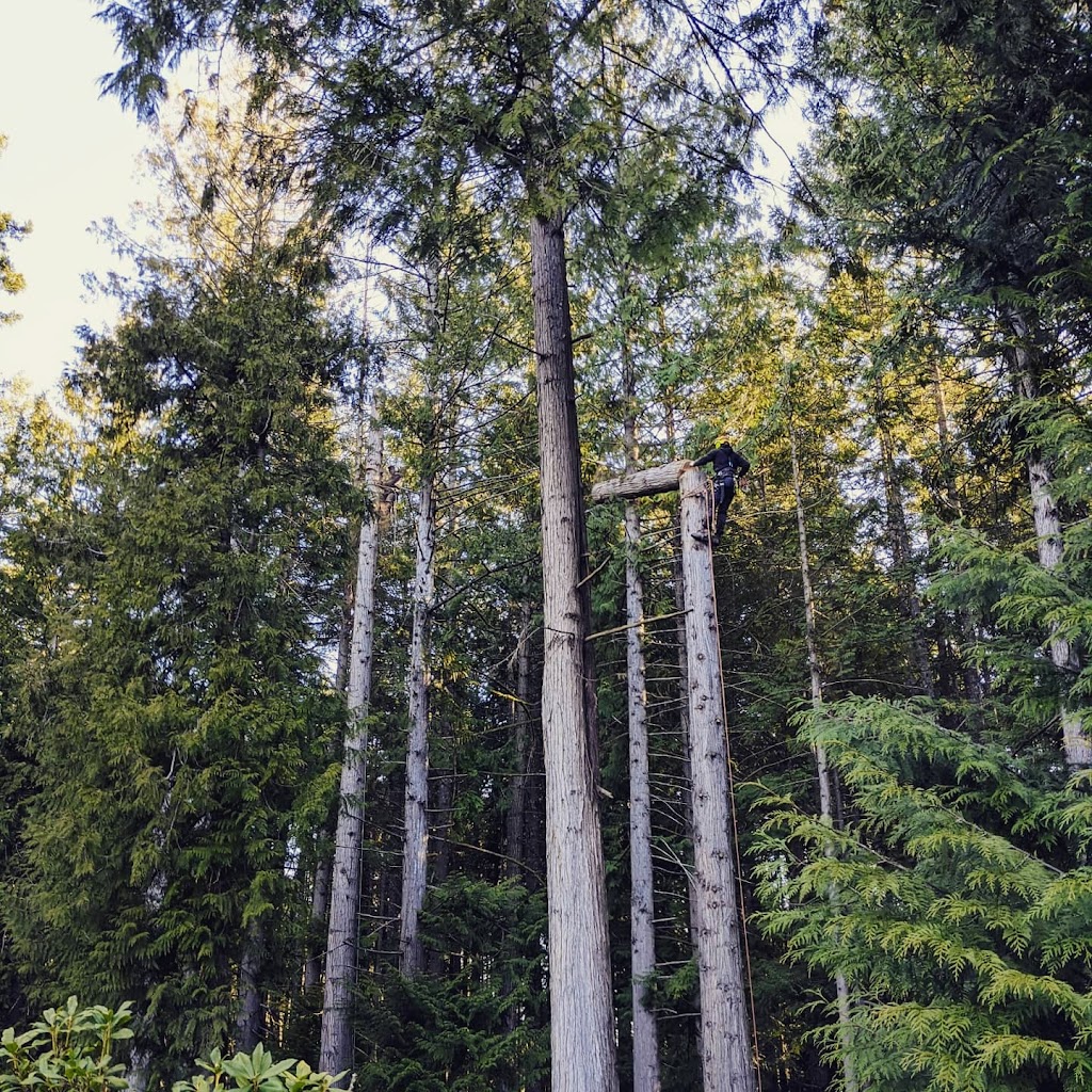 Knoxville Contracting Ltd. | 7900 Thomson Rd, Saanichton, BC V8M 1S1, Canada | Phone: (250) 208-7467