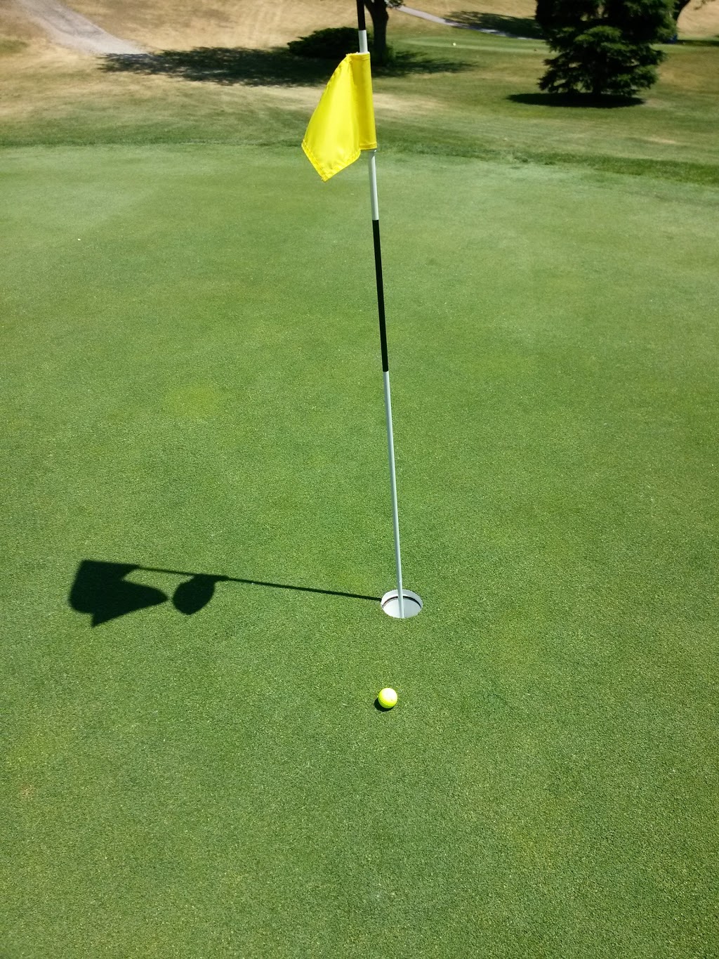 Orchard View Golf Course | 1357 County Rd 34, Ruthven, ON N0P 2G0, Canada | Phone: (519) 326-6993