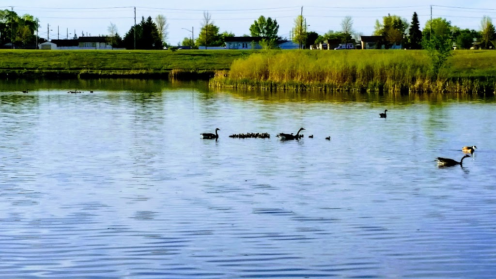 Woodsworth Park | Oak Point Highway, Winnipeg, MB R2R, Canada