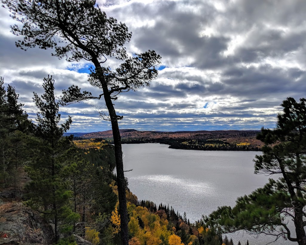 Muskoka Pioneer Power | 331 Fraserburg Rd, Bracebridge, ON P1L 0A1, Canada