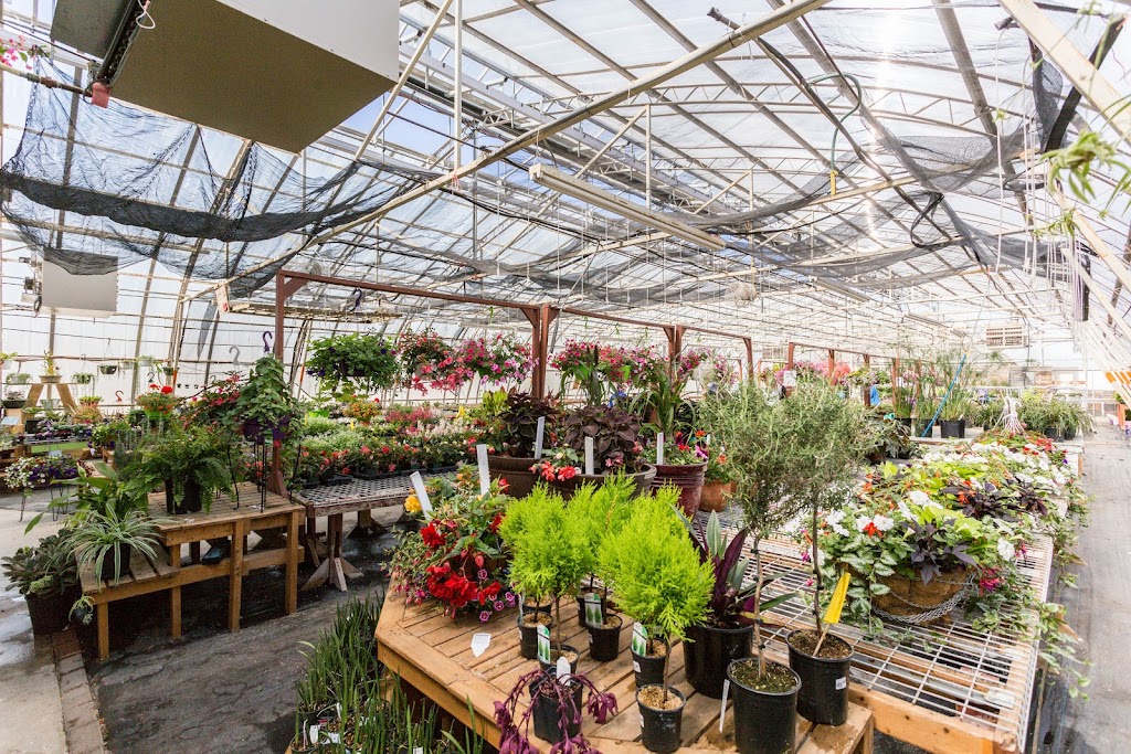 Rehoboth Garden Centre & Wood Products | 1222 20th St, Coaldale, AB T1M 1N1, Canada | Phone: (403) 345-5199