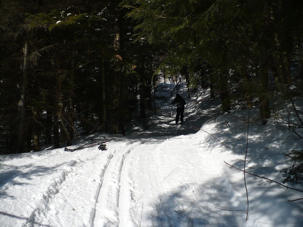 Centre De Ski De Fond Les Portes De L Enfer 0 5e Rang C P 339 Saint Alban Qc G0a 3b0 Canada