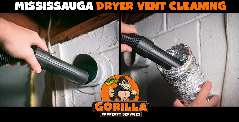 Gorilla Property Services | 7360 Bramalea Rd #885, Mississauga, ON L5S 1W9, Canada | Phone: (905) 963-9059