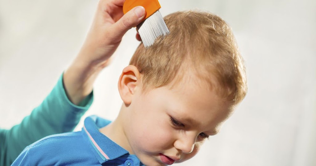 Langley Lice Solutions | 2661 204 St, Langley City, BC V2Z 2B8, Canada | Phone: (778) 873-1903