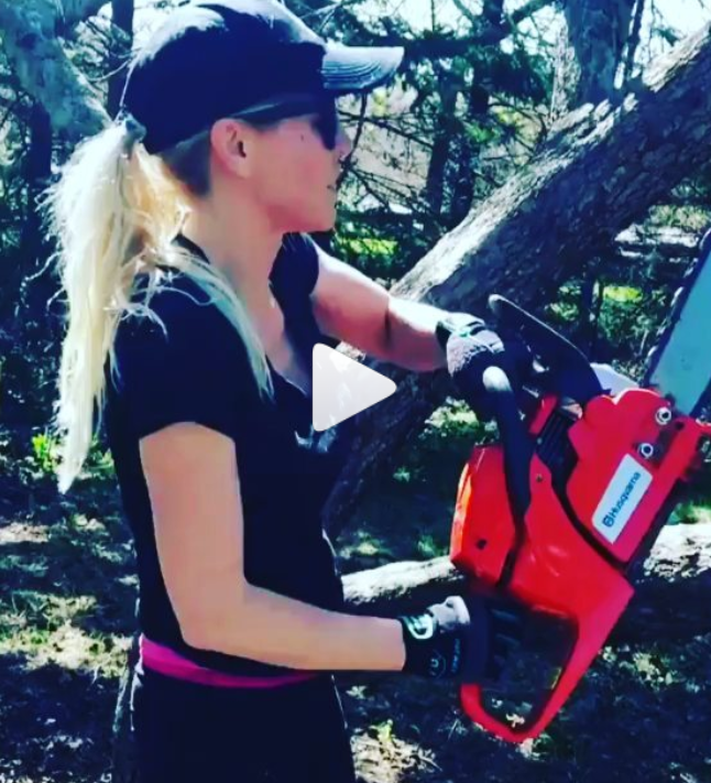 Top Notch Tree Experts | 244 Brant Rd Rr1, Mount Pleasant, ON N0E 1K0, Canada | Phone: (647) 797-8884