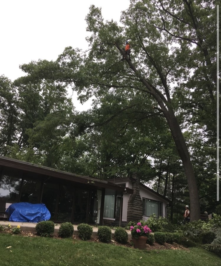 Higher Ground Tree Services | 7224 32nd side road, Acton, ON L7J 2L9, Canada | Phone: (519) 212-0824