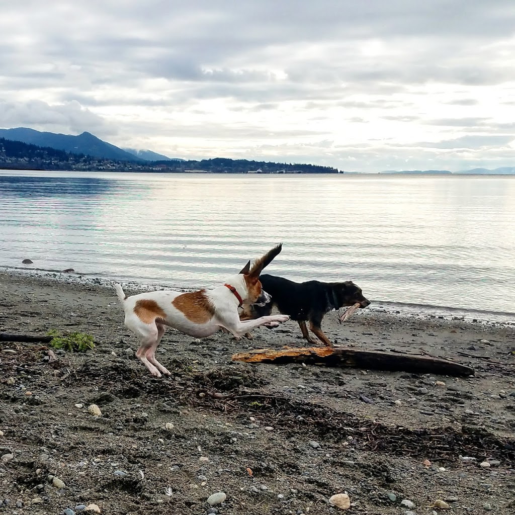 Little Squalicum Park | 640 Marine Dr, Bellingham, WA 98225, USA | Phone: (360) 778-8000