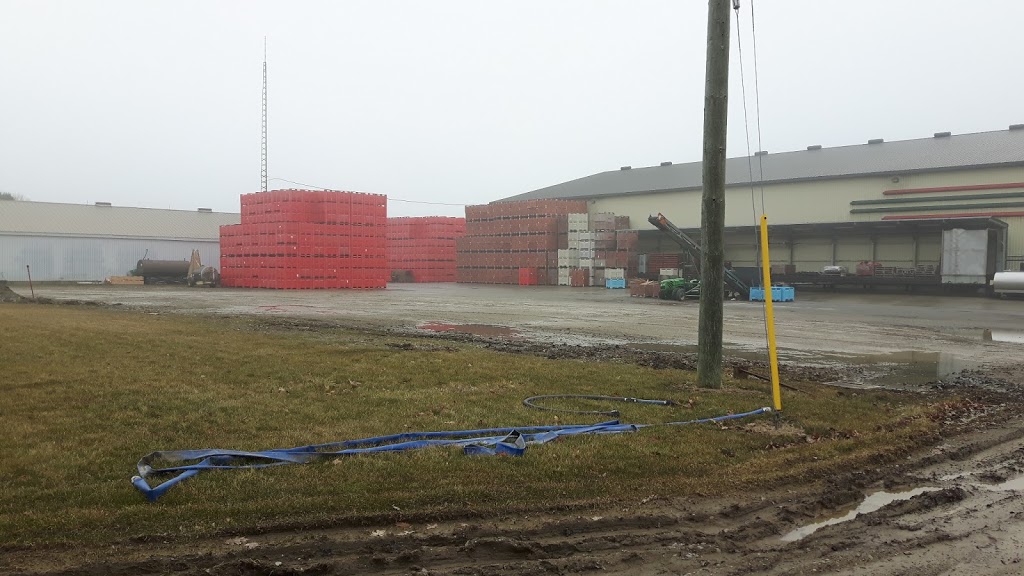 Vienna Farms | 4964 Plank Rd, Vienna, ON N0J 1Z0, Canada | Phone: (519) 874-4317
