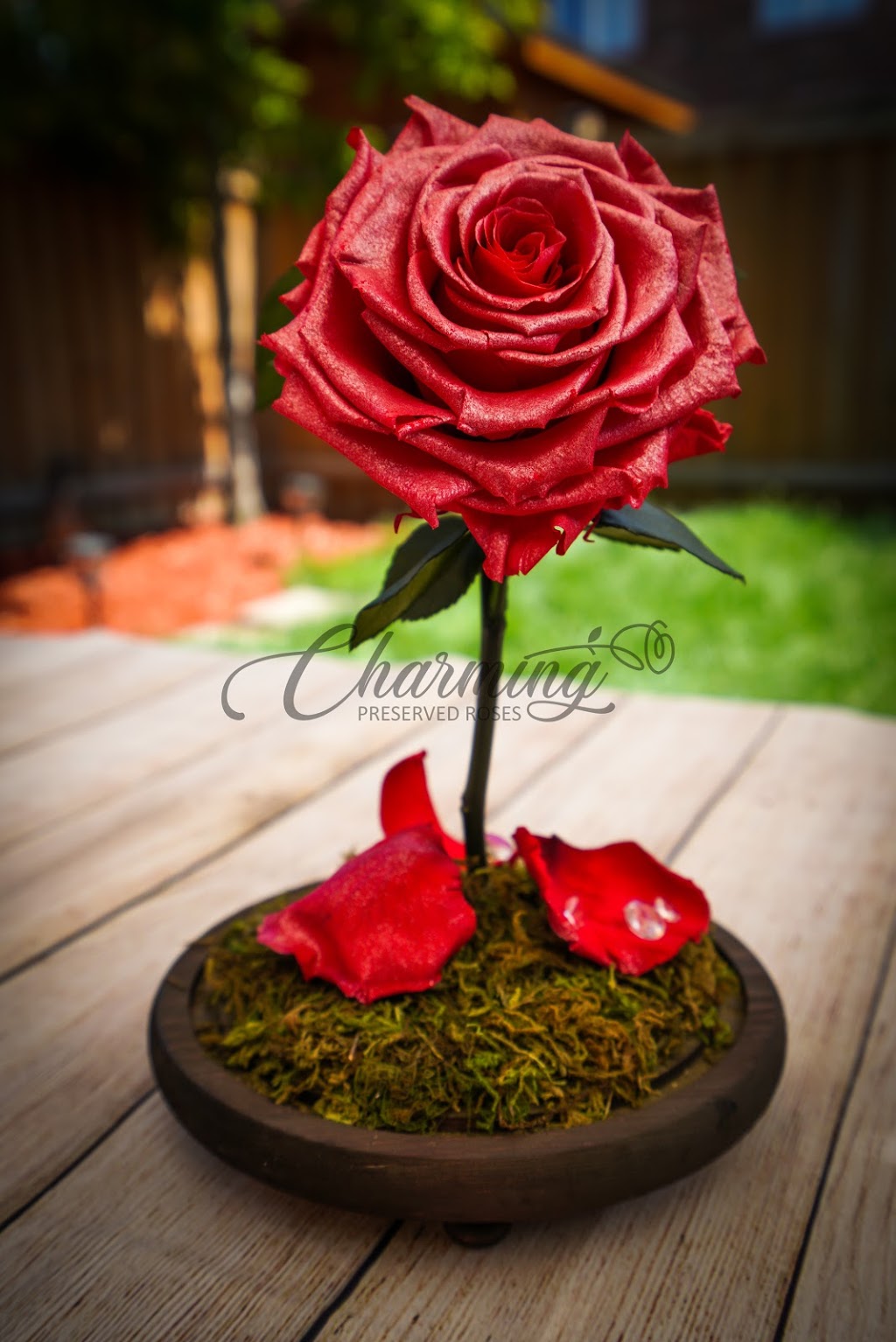 Charming Roses | 23 Betty Nagle St, North York, ON M9M 0E3, Canada | Phone: (437) 248-7902