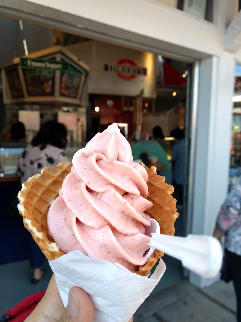 Timothys Frozen Yogurt Ltd | 3800 Bayview St, Richmond, BC V7E 5W3, Canada | Phone: (604) 275-7547