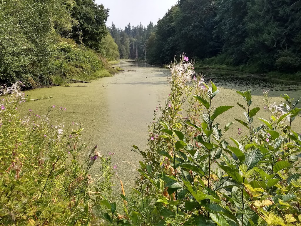Stimpson Family Nature Reserve | 2076 Lake Louise Rd, Bellingham, WA 98229, USA | Phone: (360) 778-5850