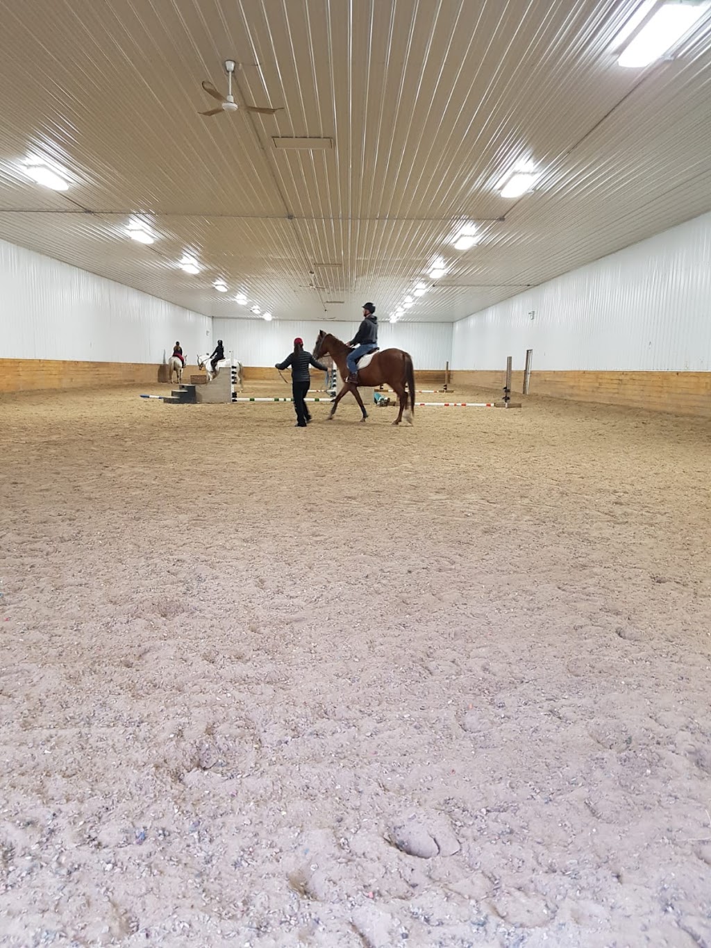 NorthernGates Stables | 29065 Melrose Road, Springfield, MB, Box 6 Group 19 RR2, Dugald, MB R0E 0K0, Canada | Phone: (204) 444-5416