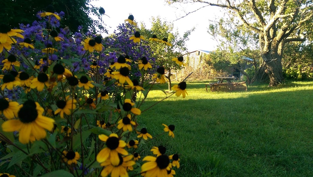 Ark B & B The | 755 County Rd 23, Tiverton, ON N0G 2T0, Canada | Phone: (519) 396-7518