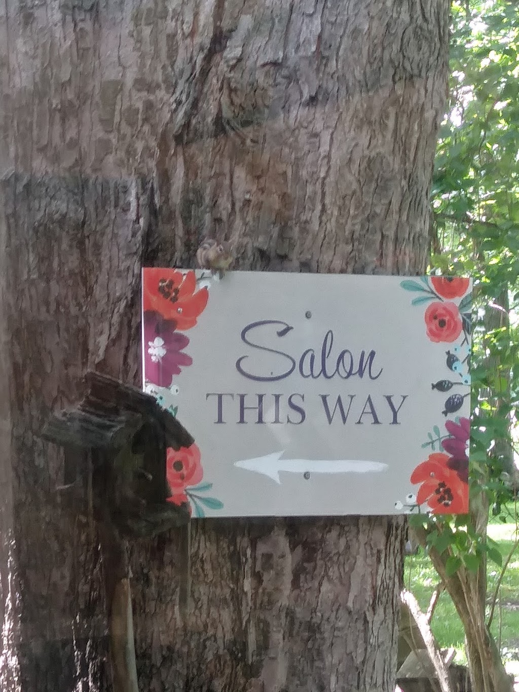 The Salon | 8430 County Rd, East Amherst, NY 14051, USA | Phone: (716) 741-9485