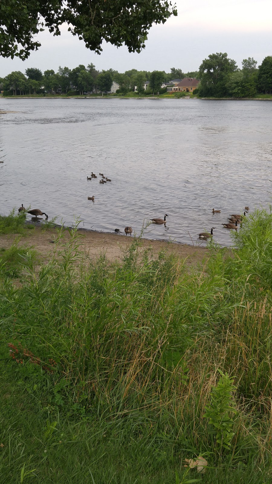 Parc Berge Perron | Rue Perron, Bois-des-Filion, QC J6Z 2L6, Canada | Phone: (450) 621-1460