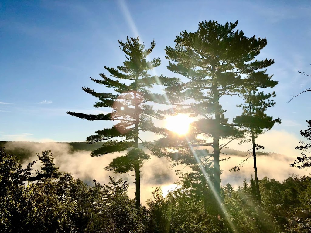 Nalu Retreat & Nordic Spa | 1972 Myra Rd, Porters Lake, NS B3E 1H2, Canada | Phone: (902) 801-9442
