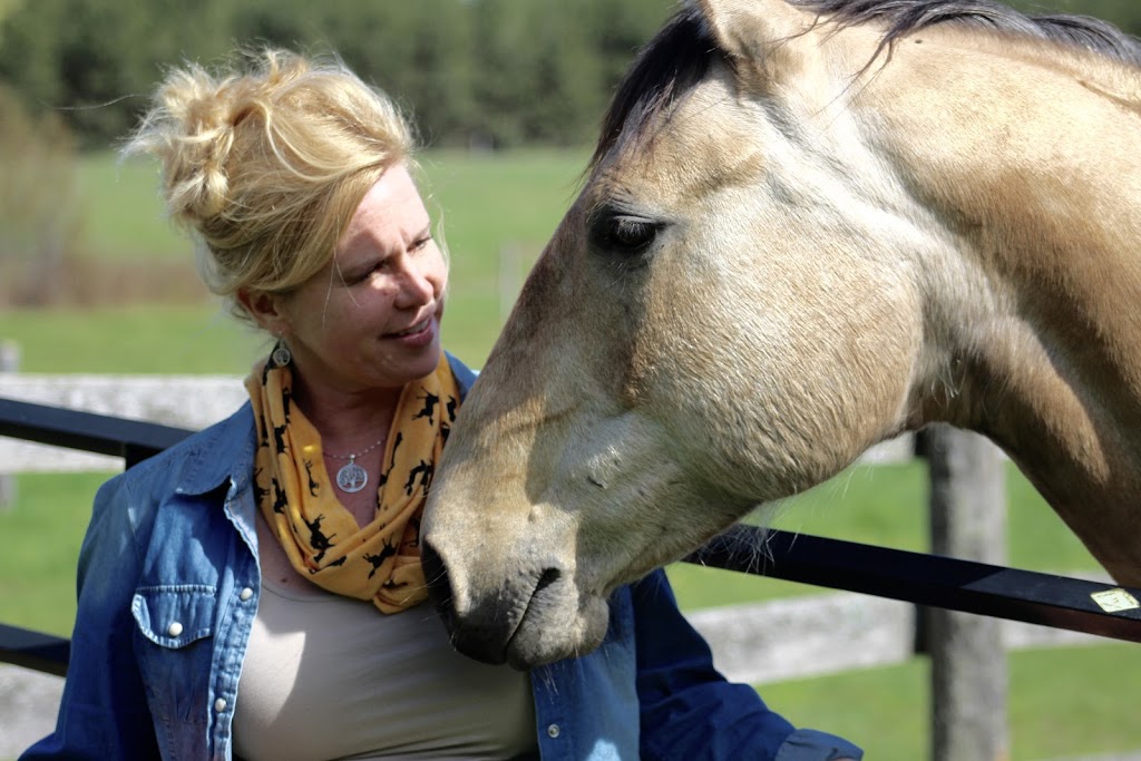 Horse Discovery | Carmel Line, Cavan-Monaghan, ON L0A 1G0, Canada | Phone: (705) 932-2244