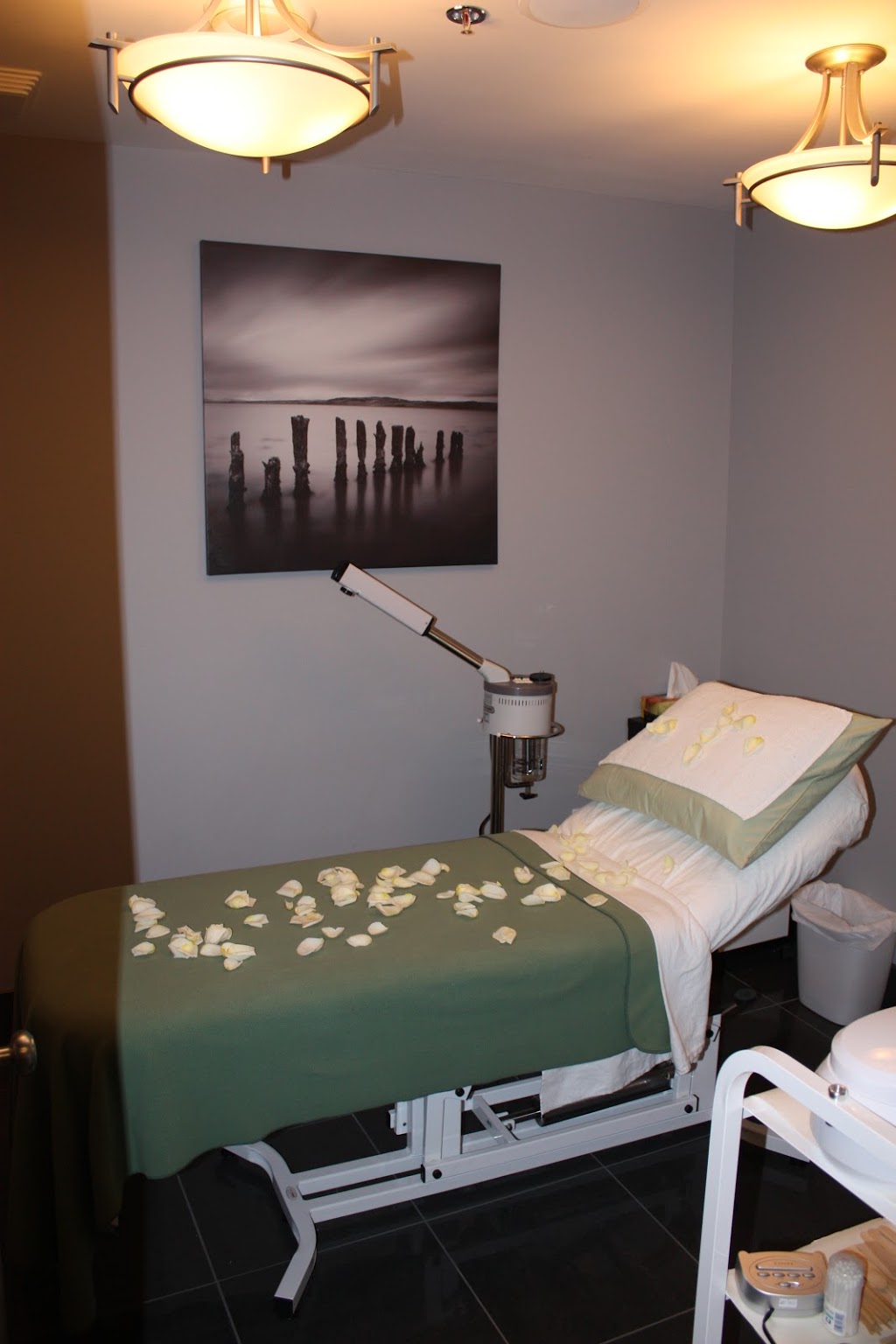 Mist Salon & Day Spa | 8330 82 Ave NW #177, Edmonton, AB T6C 4E3, Canada | Phone: (780) 461-0798
