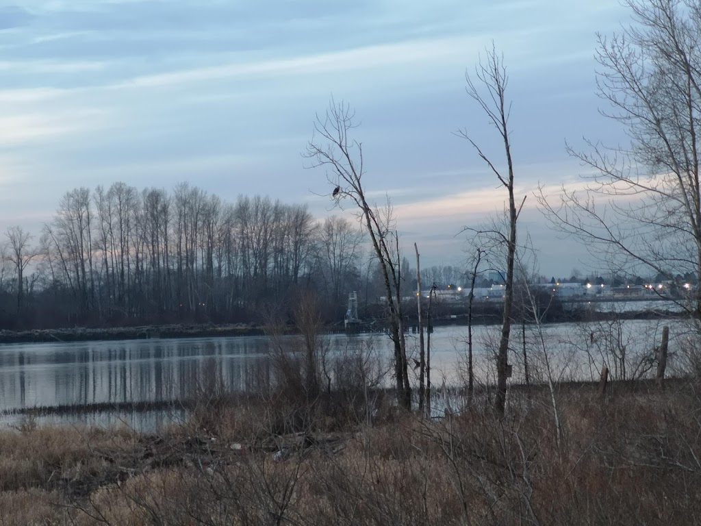 South Arm Marshes Wildlife Management Area | 5011 River Rd, Delta, BC V4K 1S7, Canada