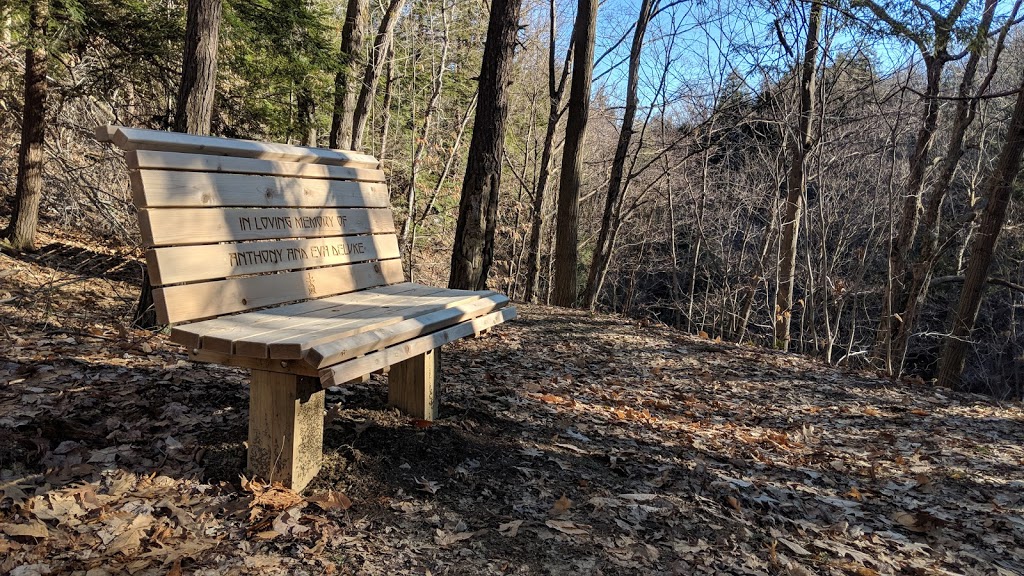 The Owens Falls Sanctuary | 720 Center St, East Aurora, NY 14052, USA | Phone: (716) 687-1225