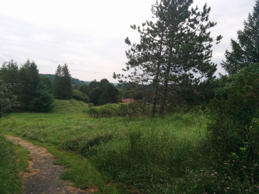Edelweiss Park | 320 Glasgow Rd, Caledon, ON L7C 3L9, Canada | Phone: (905) 584-2272