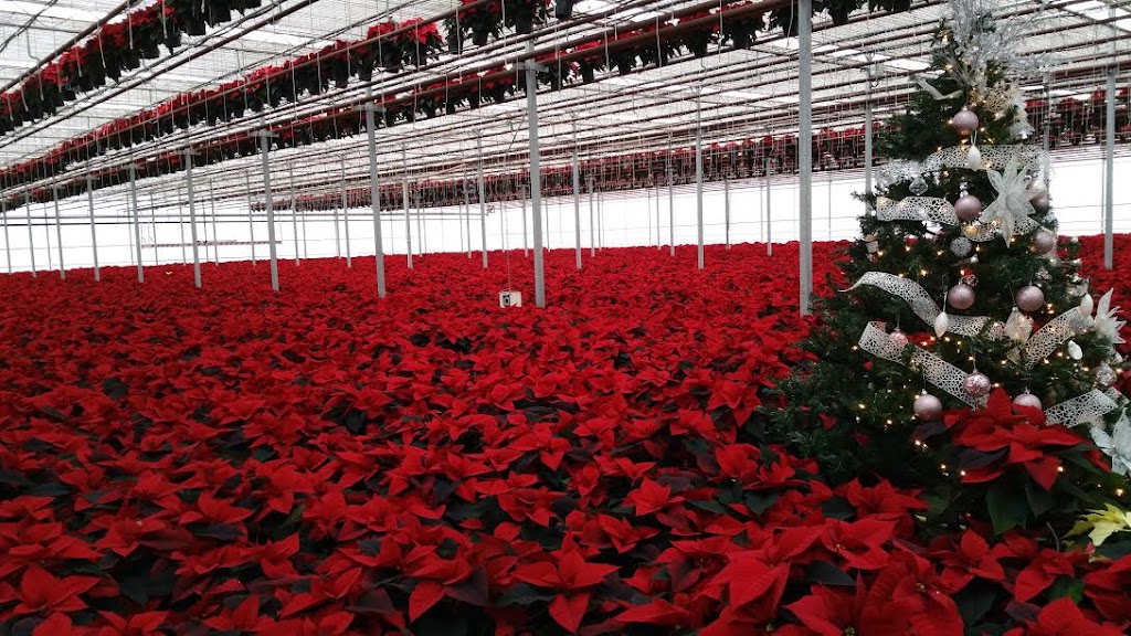 Forest Glen Greenhouse | 664 Brentwood Rd, Brookfield, NS B0N 1C0, Canada | Phone: (902) 673-3387