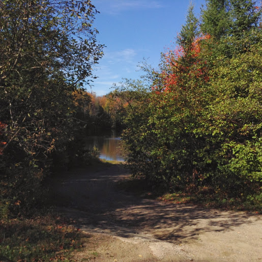 Monck Lake Westfall Ln. Boat Launch | 1023 Westfall Lane, Cardiff, ON K0L 1M0, Canada | Phone: (705) 448-2981