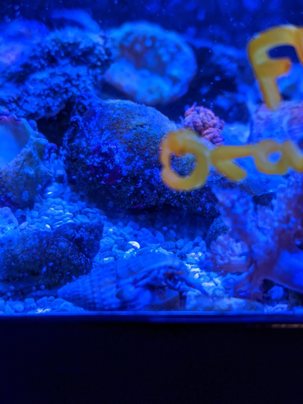 The Marine Experience | 10124 127 Ave NW, Edmonton, AB T5E 0B7, Canada | Phone: (587) 497-2742