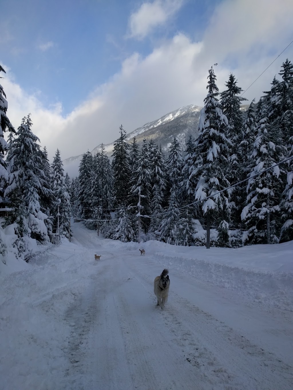 Billabong Lodge | 14942 Parkwood St, Hope, BC V0X 1L5, Canada | Phone: (604) 676-1826