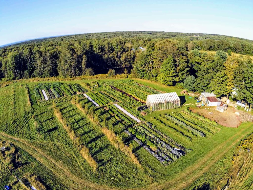 Fruits N Roots Farm | 21 Maple Ln, Newport, NS B0N 2A0, Canada | Phone: (902) 306-7529
