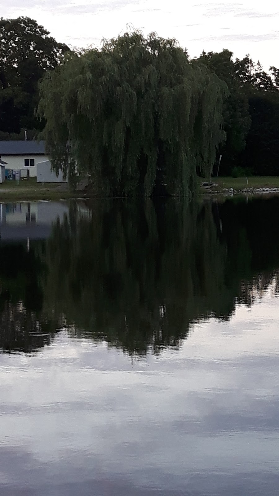 Klages Mill & Garden | 11 1st Ave N, Chesley, ON N0G 1L0, Canada | Phone: (519) 363-2201