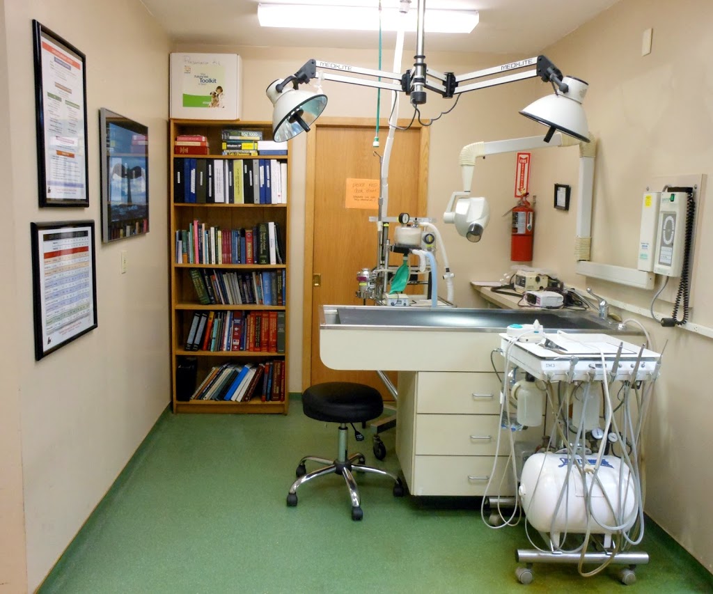 Lancaster Small Animal Hospital: Fetzner Heather A DVM | 5156 Genesee St, Bowmansville, NY 14026, USA | Phone: (716) 681-3033