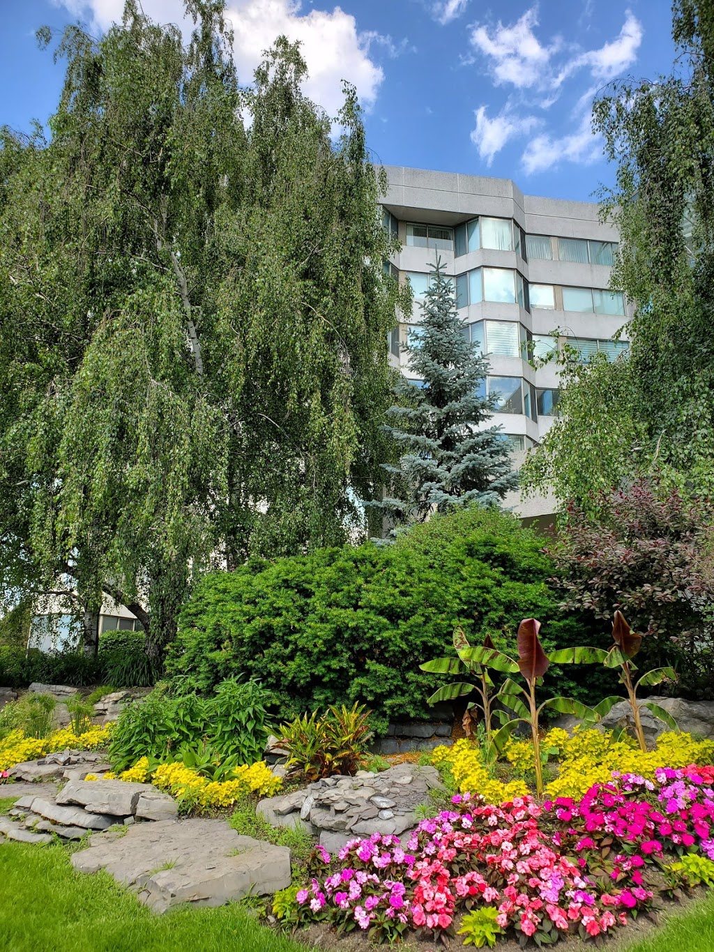 Tropiques Nord | Tropiques Nord, 2500 Av Pierre-Dupuy, Montreal, QC H3C 4L1, Canada | Phone: (514) 397-0202