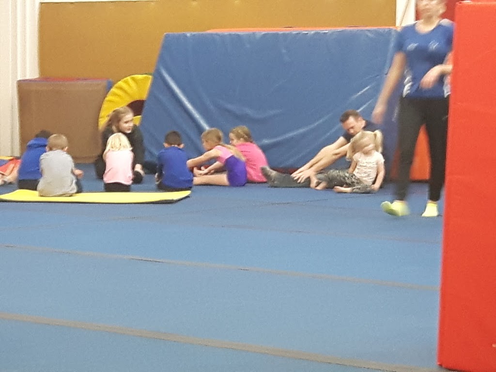 Aspire Gymnastics | 183 S Service Rd Unit 3, Grimsby, ON L3M 4H6, Canada | Phone: (289) 442-8286