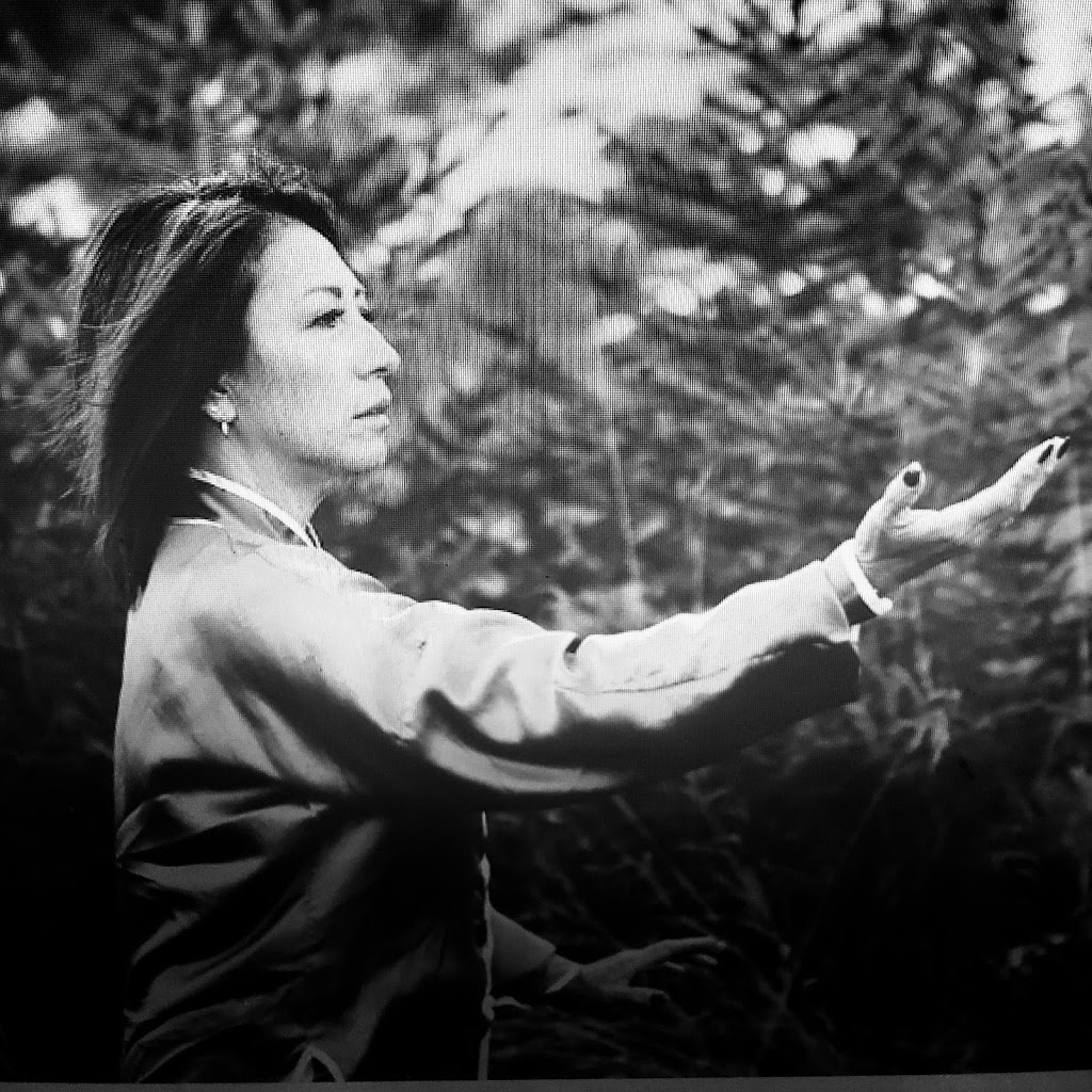 Plum Blossom Tai Chi Academy-Alberta | Elderwood Pl SE, Airdrie, AB T4B 2G2, Canada | Phone: (587) 999-3694