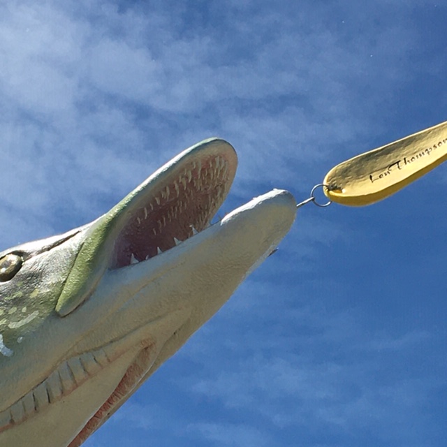 Largest Northern Pike in Alberta | Rochon Sands, AB T0C 3B0, Canada | Phone: (403) 742-4717